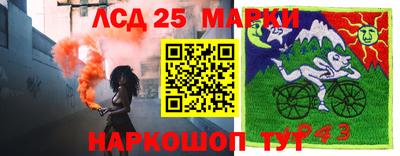 дурь Сланцы