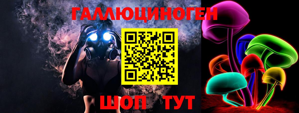 Галлюциногенные грибы Psilocybine cubensis  купить наркотик  Вход с VPN  Псков  Галлюциногенные грибы прущие грибы 