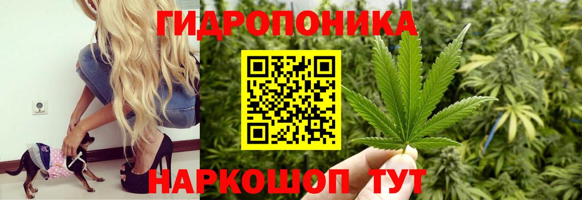 Бошки Шишки ГИДРОПОН Псков